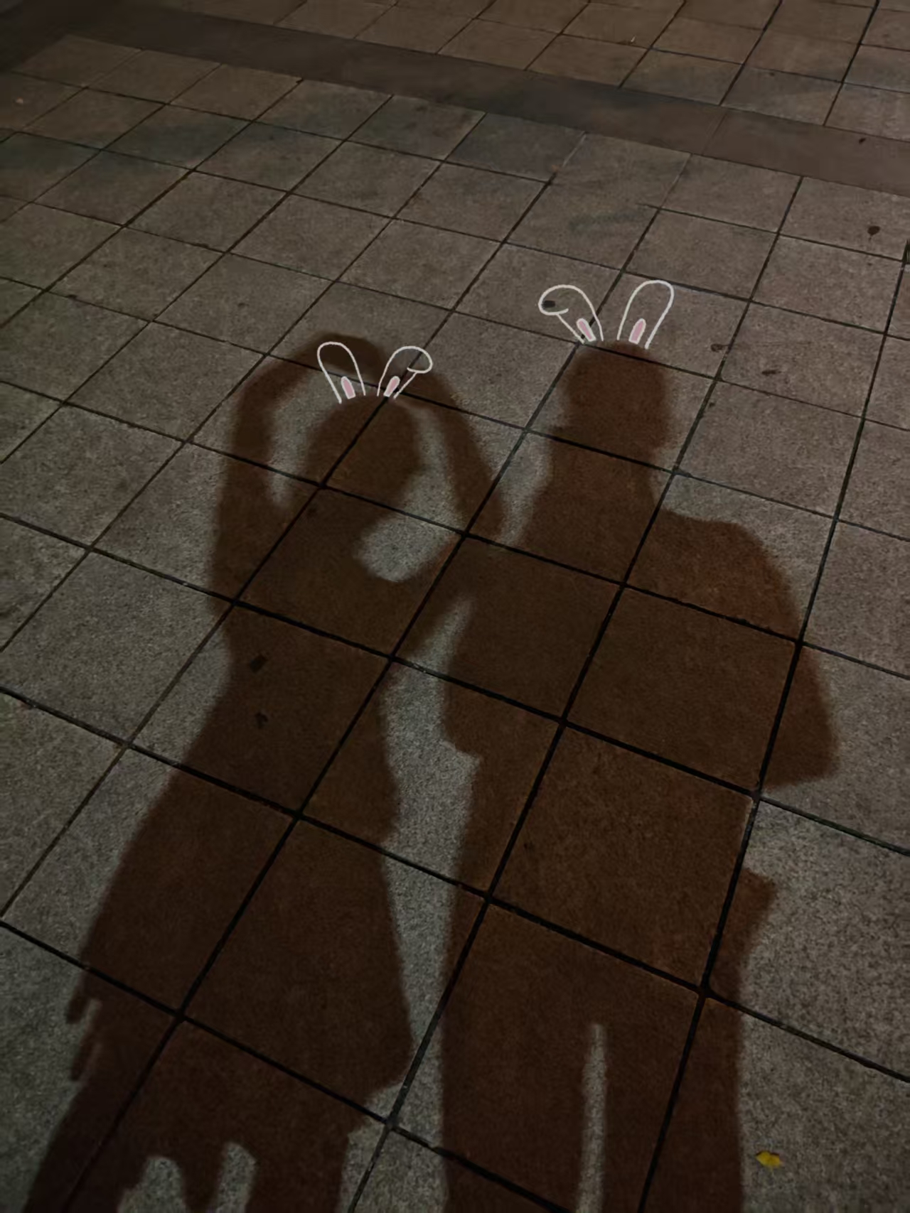 影子2